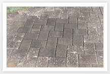 paver restoration