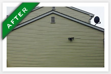 vinyl siding after